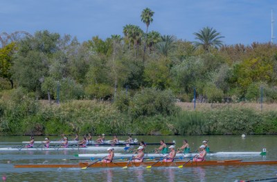 Concluye en Sevilla la VIII International Master Rowing Regatta, que ha congregado a 700 remeros de 13 países