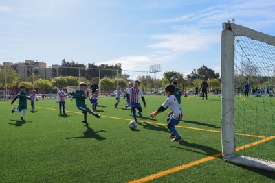 Consulta las Escuelas Deportivas Municipales para la nueva temporada temporada
