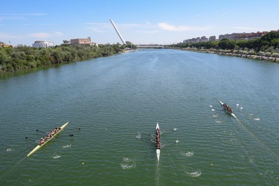 Sevilla, sede de la Copa del Mundo de Remo en 2026