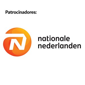 Web NN