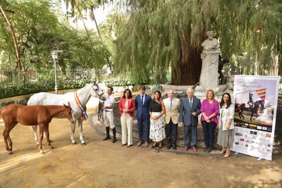 Más de 200 caballos y jinetes participan en la XII edición de la Gran Semana del Caballo Angloárabe que se celebra en el Parque del Alamillo desde este viernes