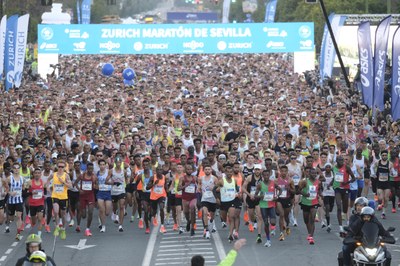 El Ayuntamiento abre este lunes 8 de abril las inscripciones para la edición del 40 aniversario del Zurich Maratón de Sevilla, que se celebrará el 23 de febrero de 2025